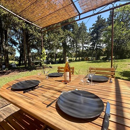 Maisonnette Avec Petite Foret Valreas Luaran gambar